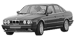 BMW E34 P0CB0 Fault Code